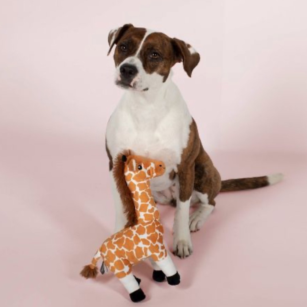 🆕 Fringe Studio Longneck Lawrence Giraffe Dog Toy - Picture 4 of 4